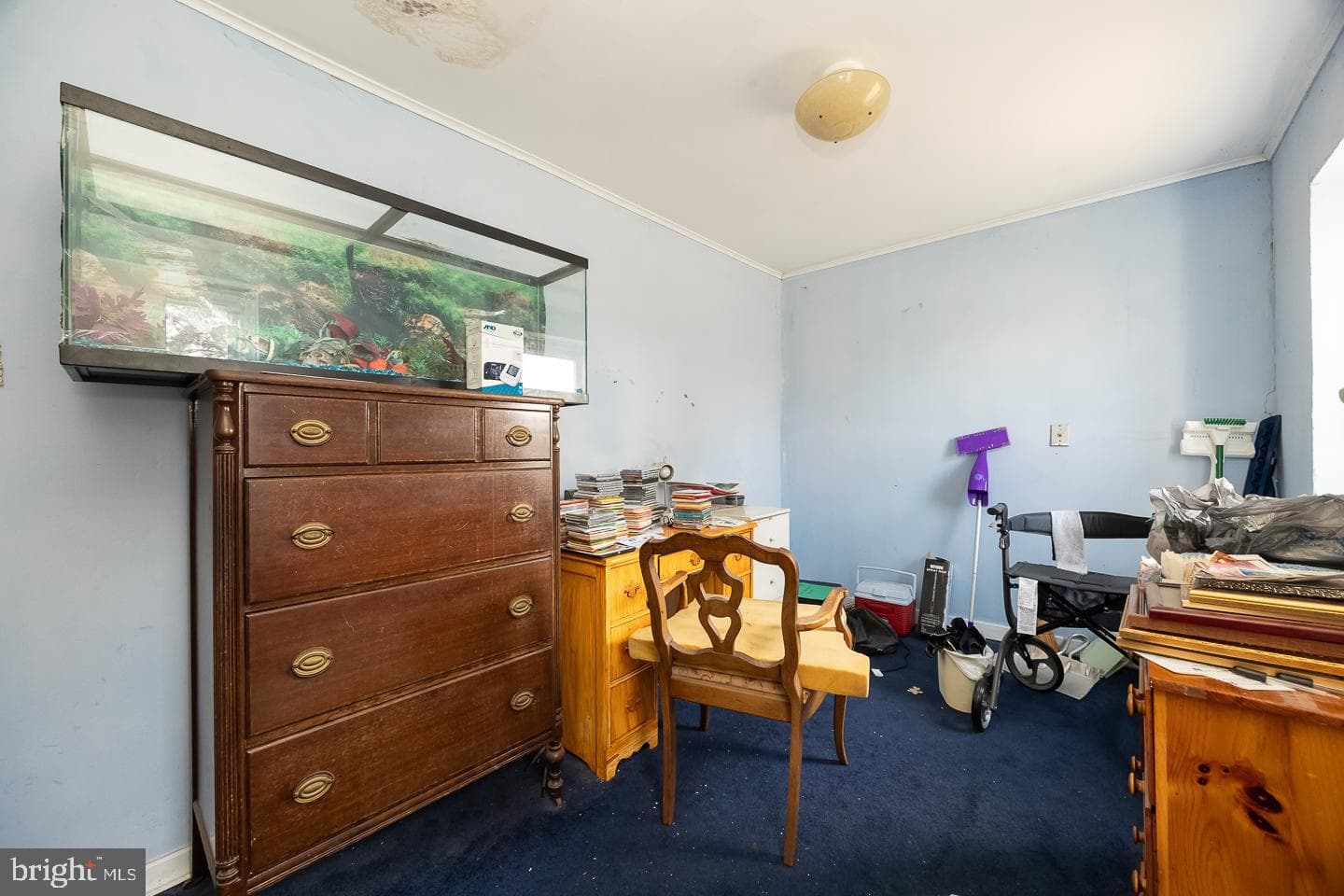 811 Springfield Road photo 8