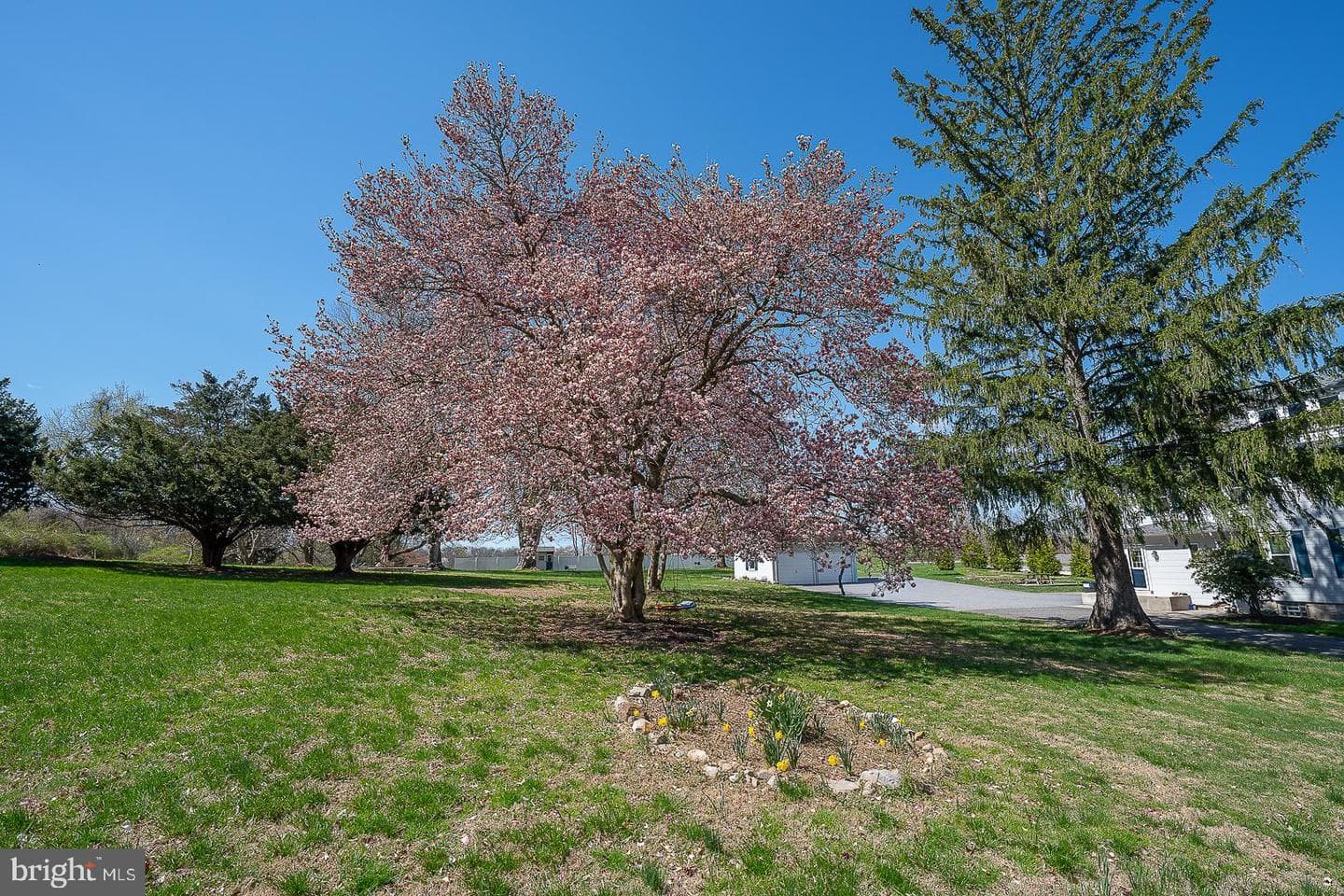 642 Concord Road photo 19