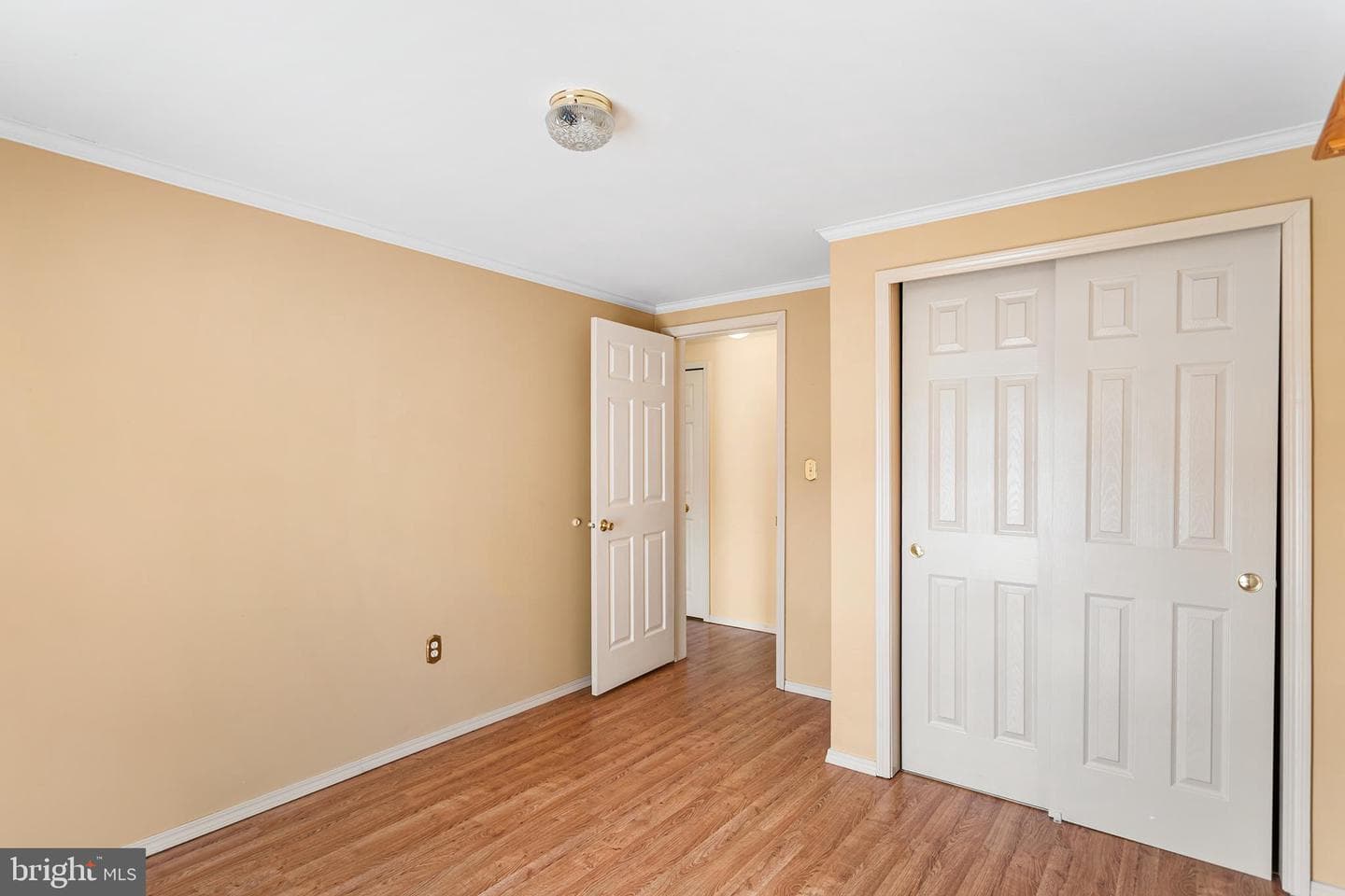 229 Horseshoe Drive photo 18