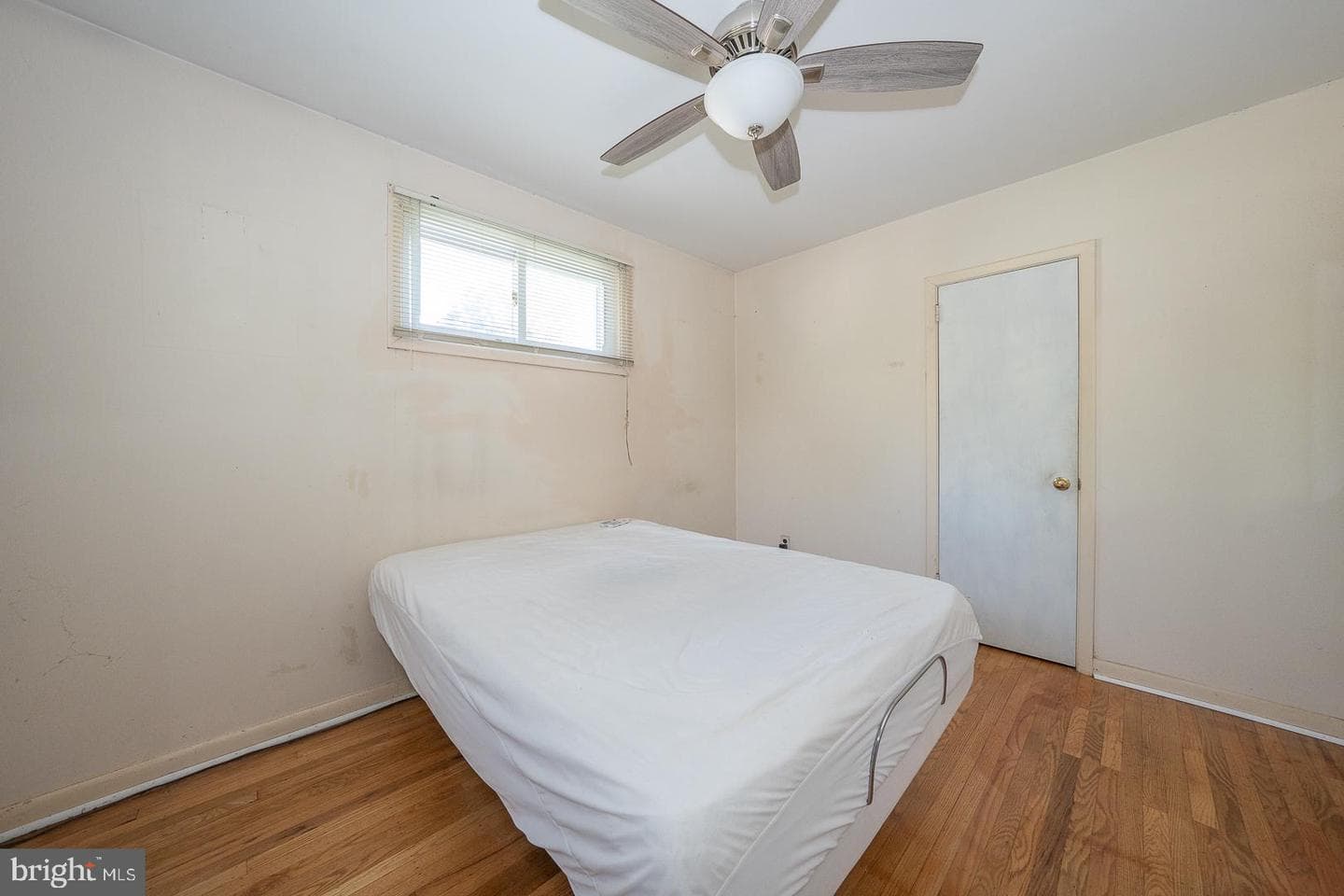 102 Tuscany Road photo 10