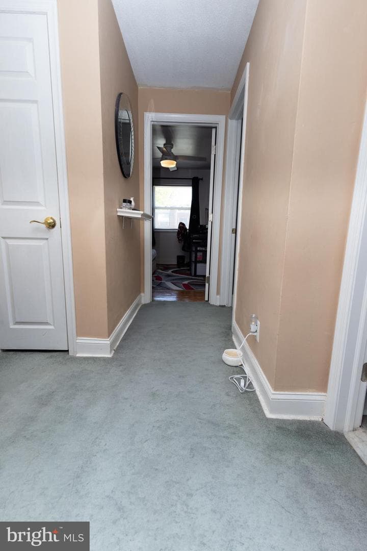 101 Felton Avenue photo 17