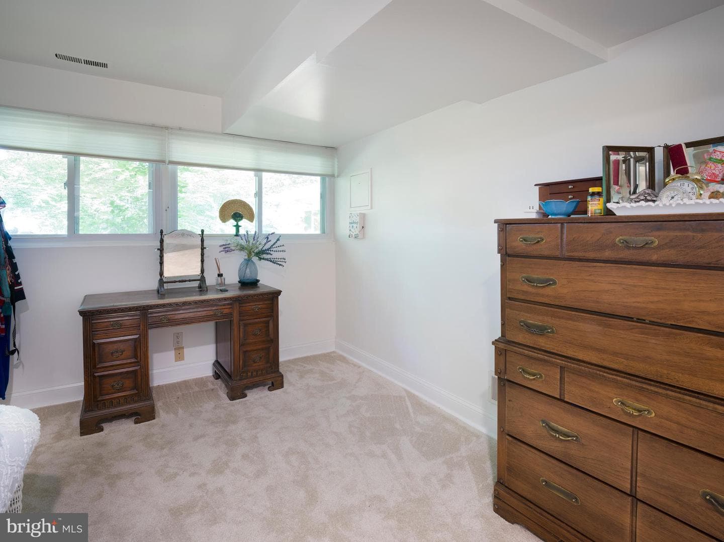 310 Jeffrey Lane photo 46