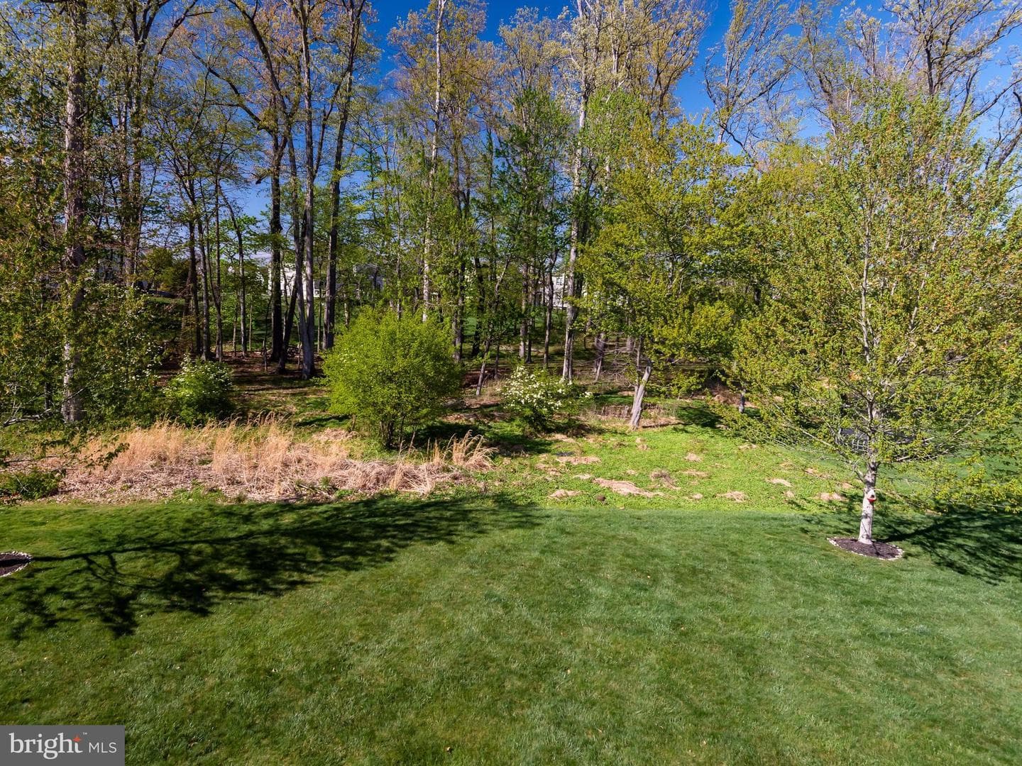 3805 Woodland Drive photo 44
