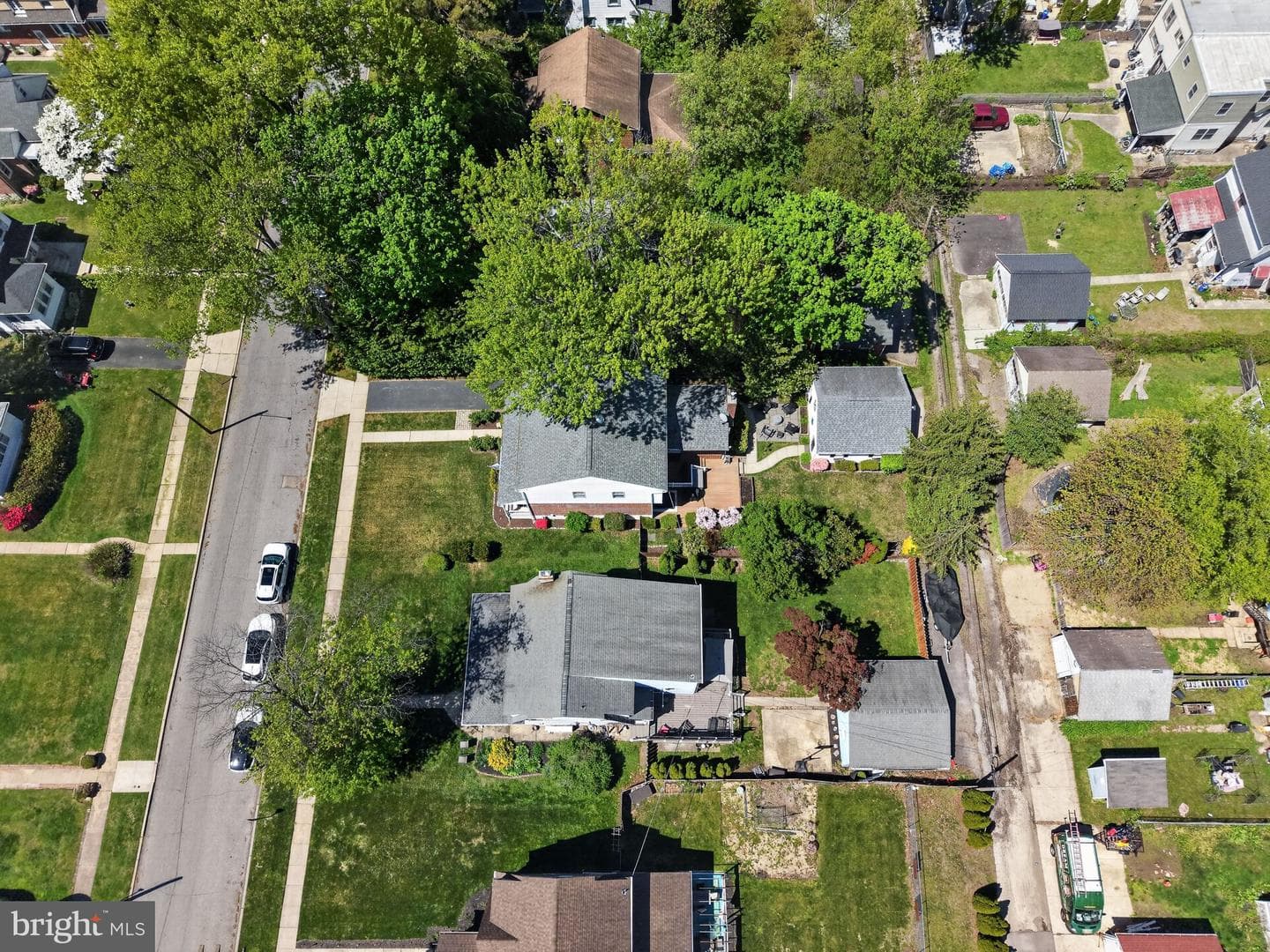 37 Ridley Avenue photo 39