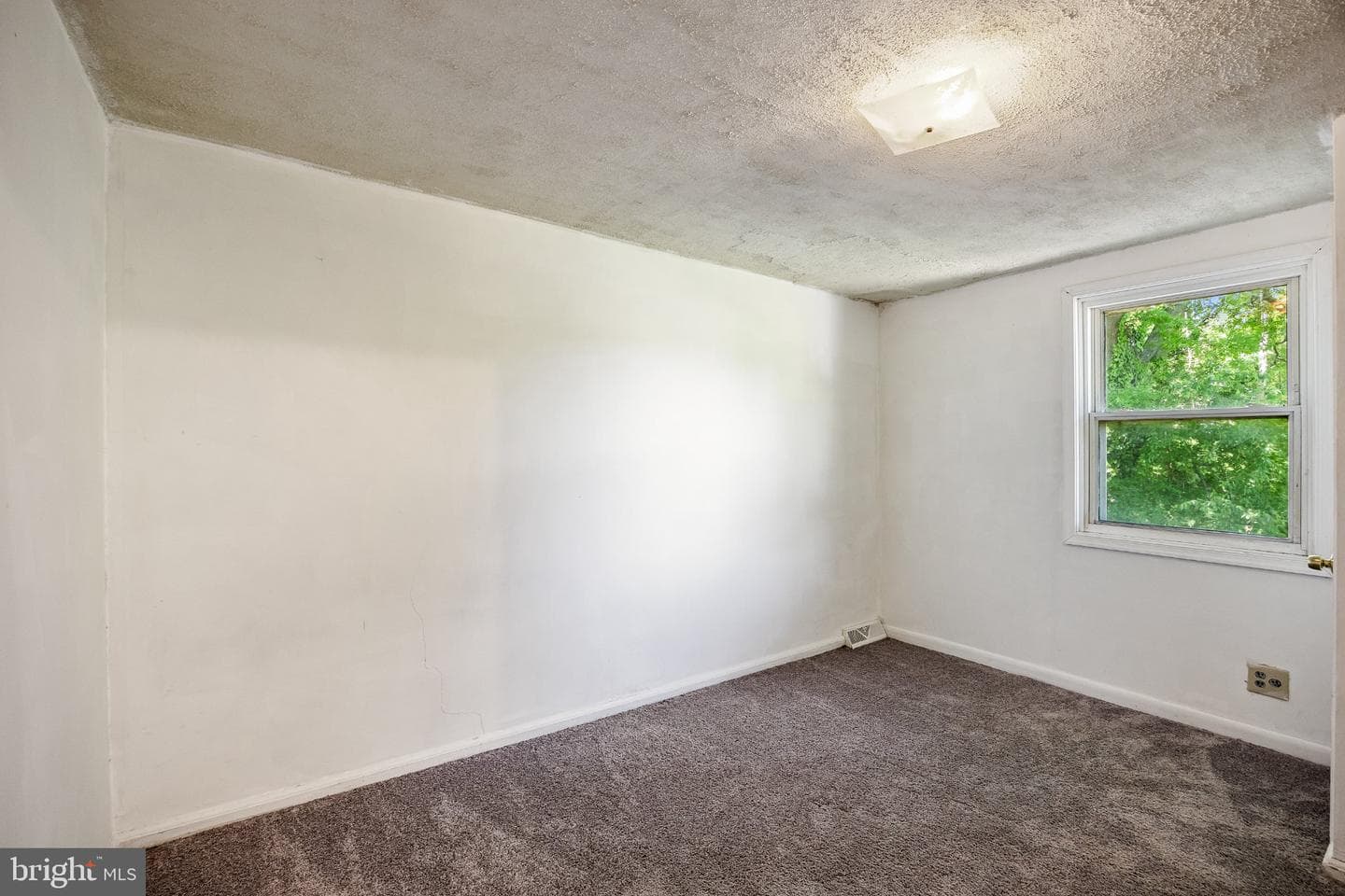 311 Fern Street photo 15