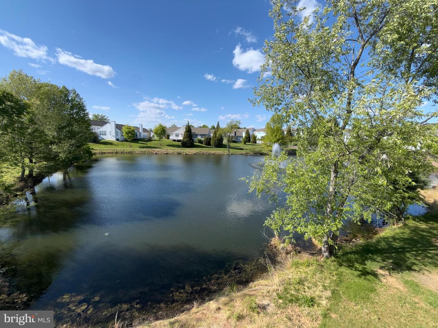 52 N Houndmaster Hollow photo 41
