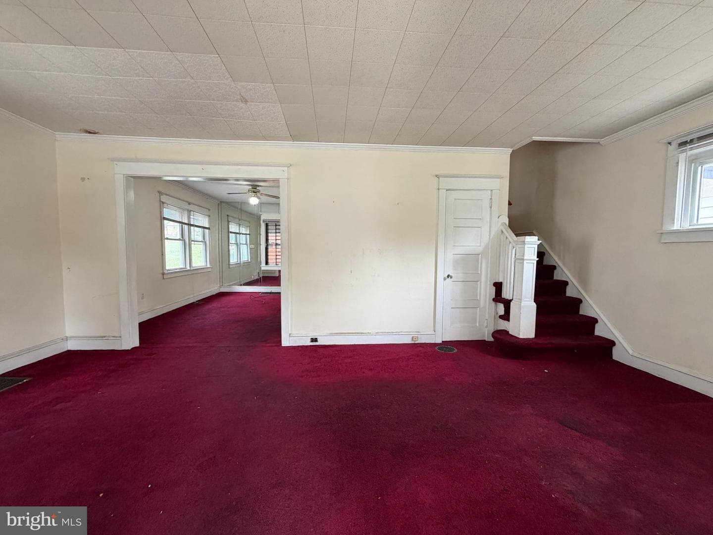 1404 Elmwood Avenue photo 11