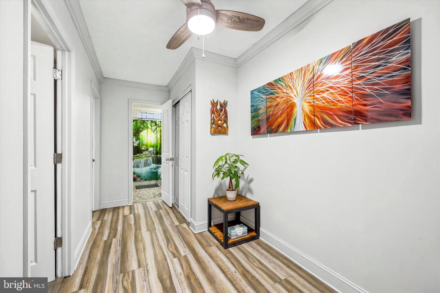 53 Walnut Street photo 14