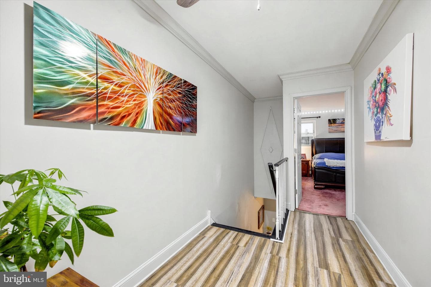 53 Walnut Street photo 15