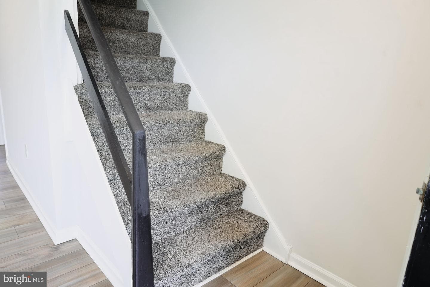 1134 Woodland Avenue photo 5