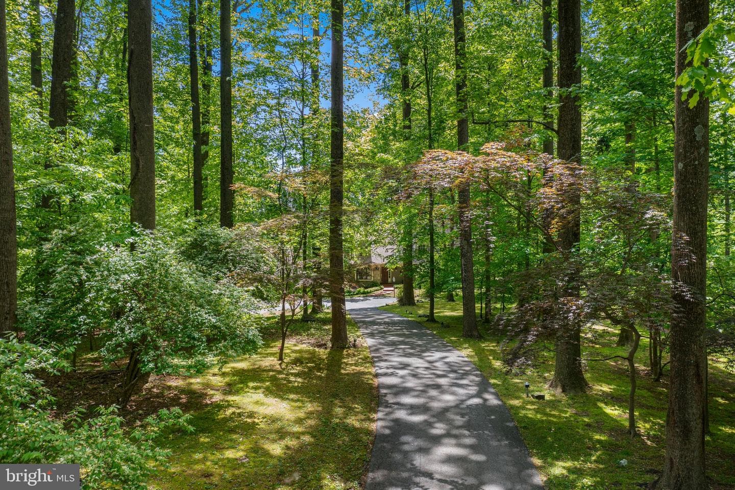 3 Hickory Lane photo 74