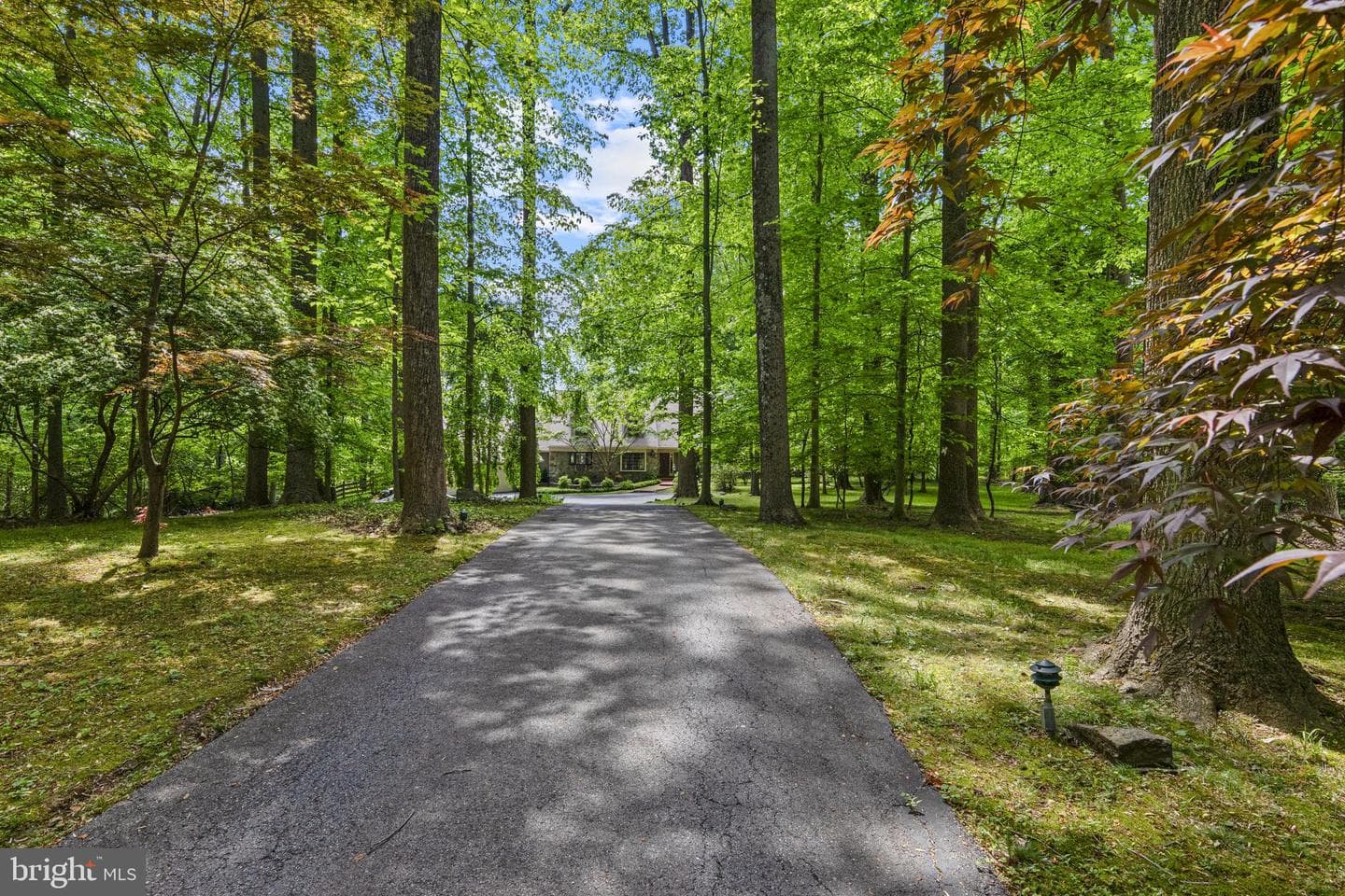 3 Hickory Lane photo 75