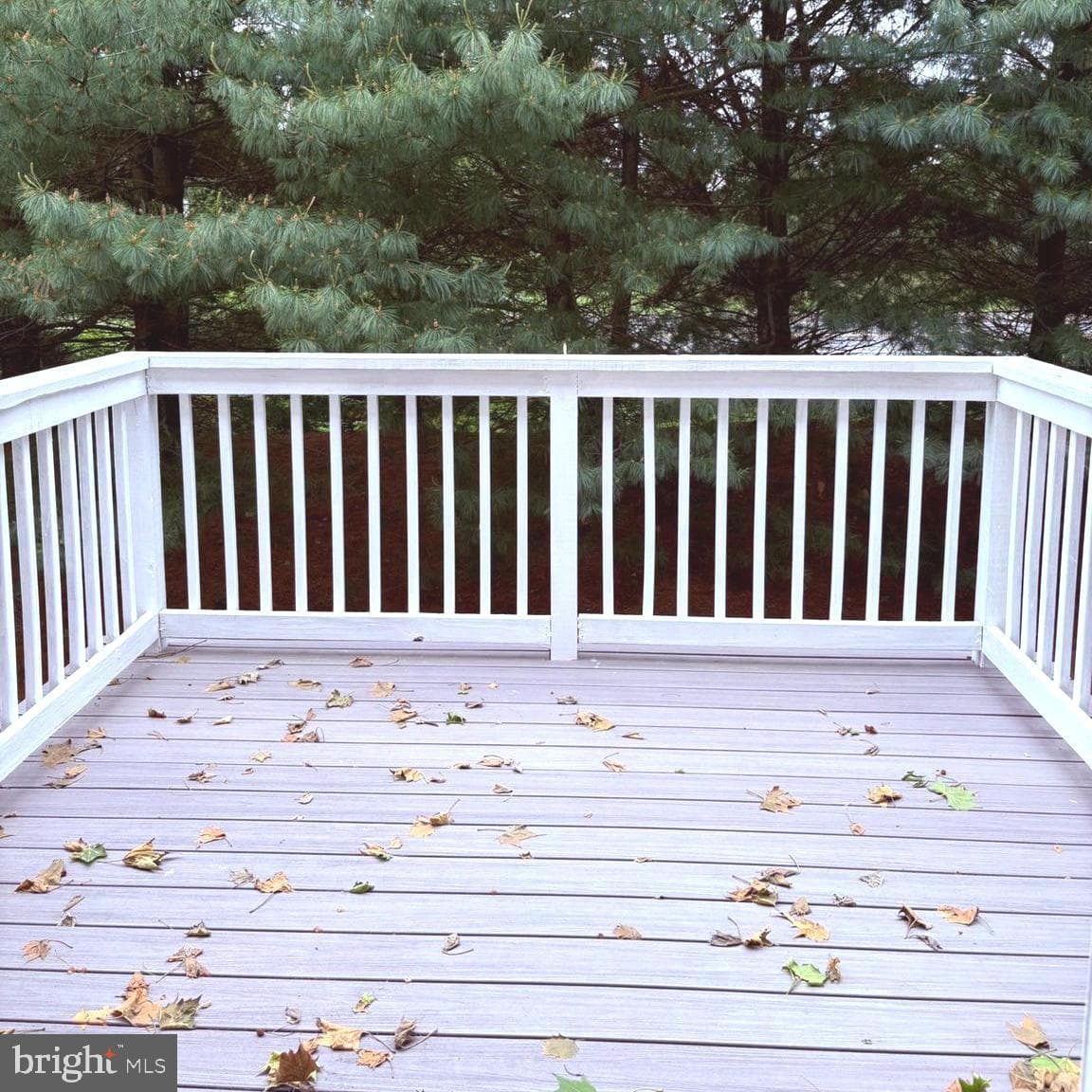 117 Julianna Way photo 23