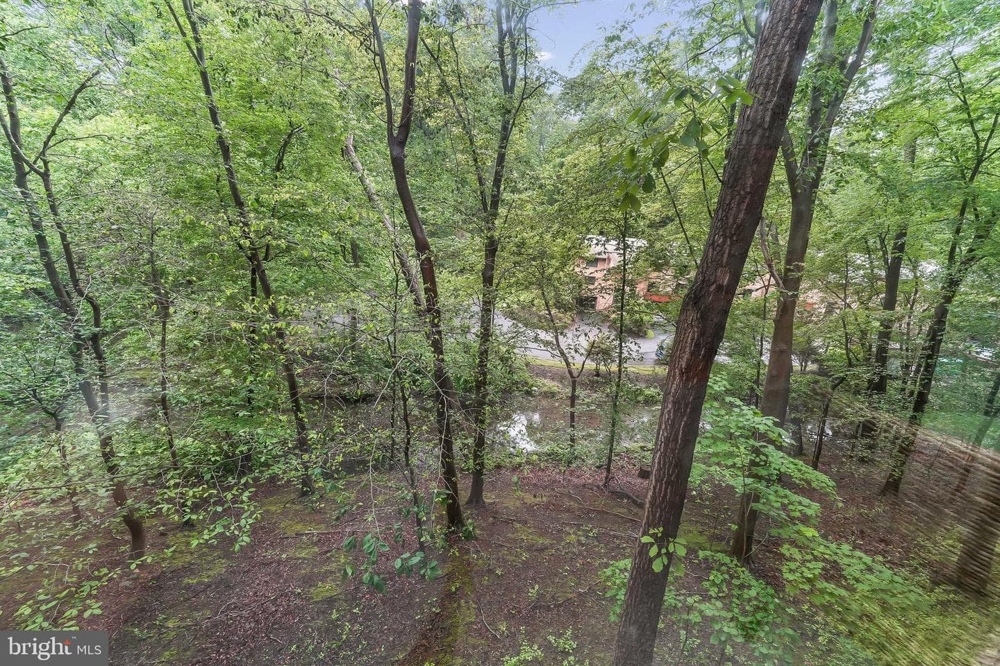 520 N Lemon Street #f6 photo 27
