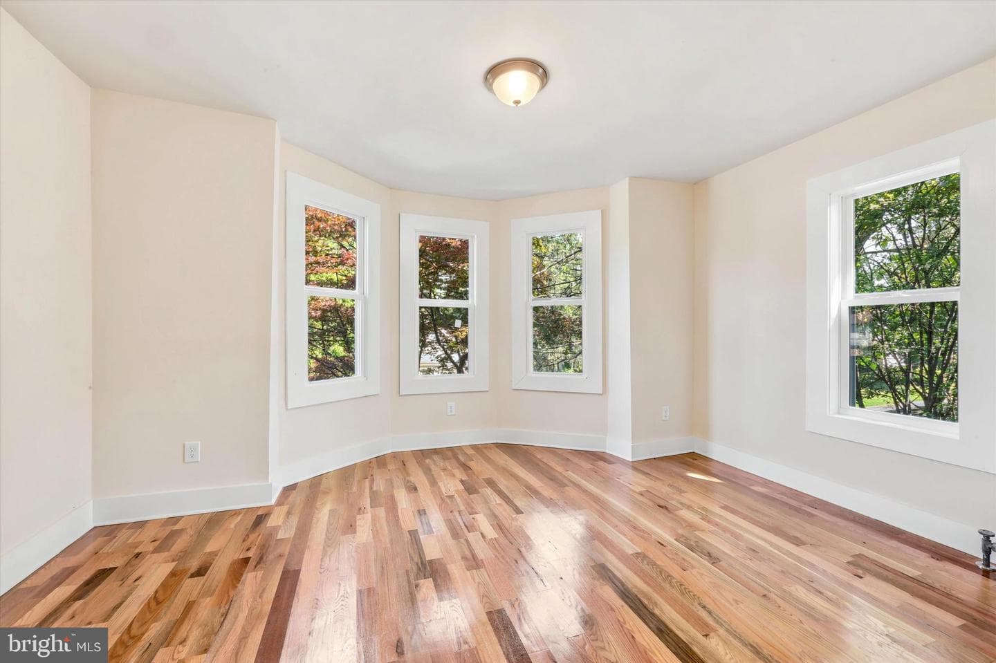 264 Maple Avenue photo 18