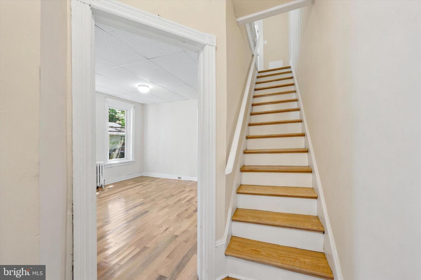 264 Maple Avenue photo 5