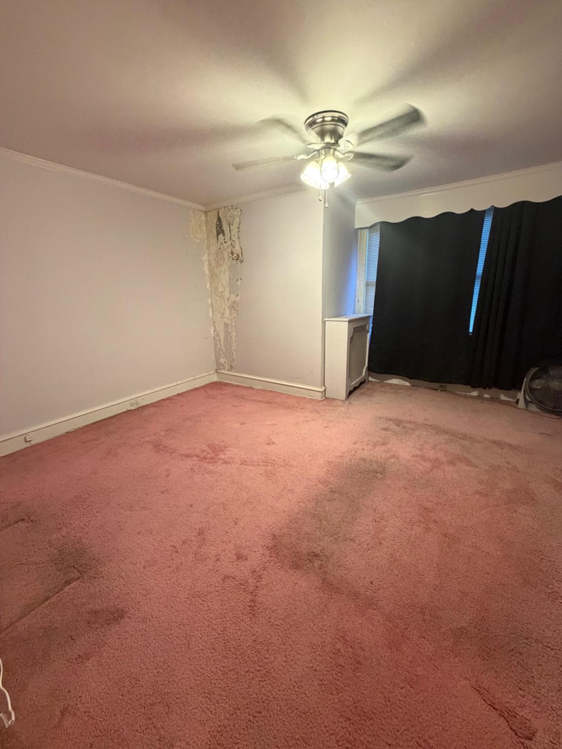 310 Bayard Road photo 6