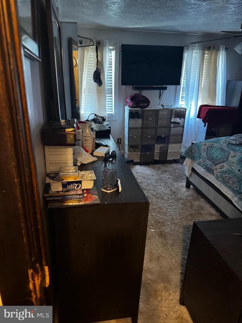 48 Foster Avenue photo 13