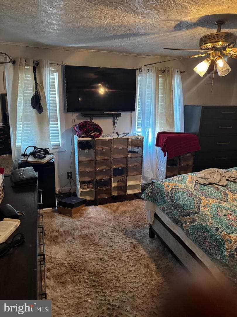 48 Foster Avenue photo 14
