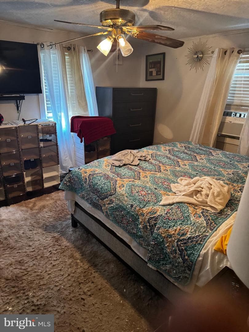 48 Foster Avenue photo 16