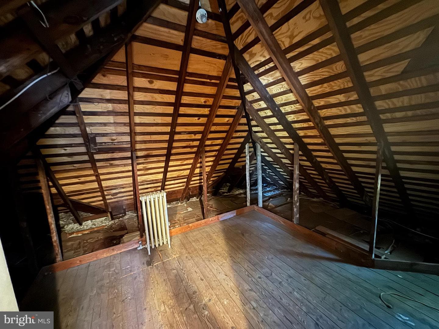 1041 Blythe Ave photo 36