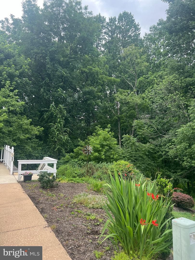 56 Bayberry Court photo 10