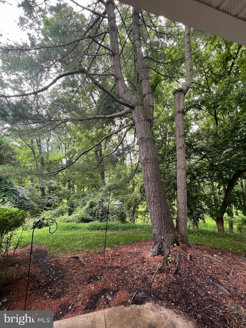 56 Bayberry Court photo 9