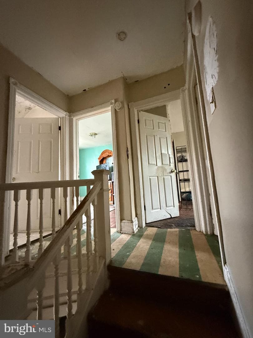 13 Walnut St photo 7