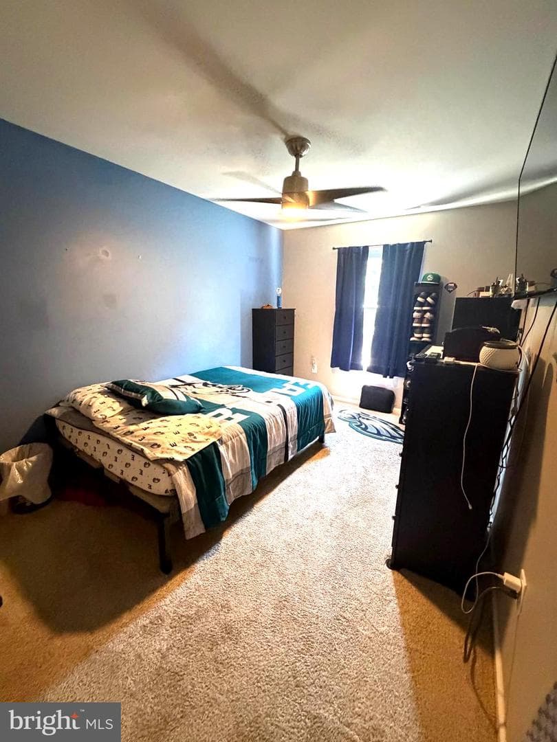 53 Hoag Lane photo 30