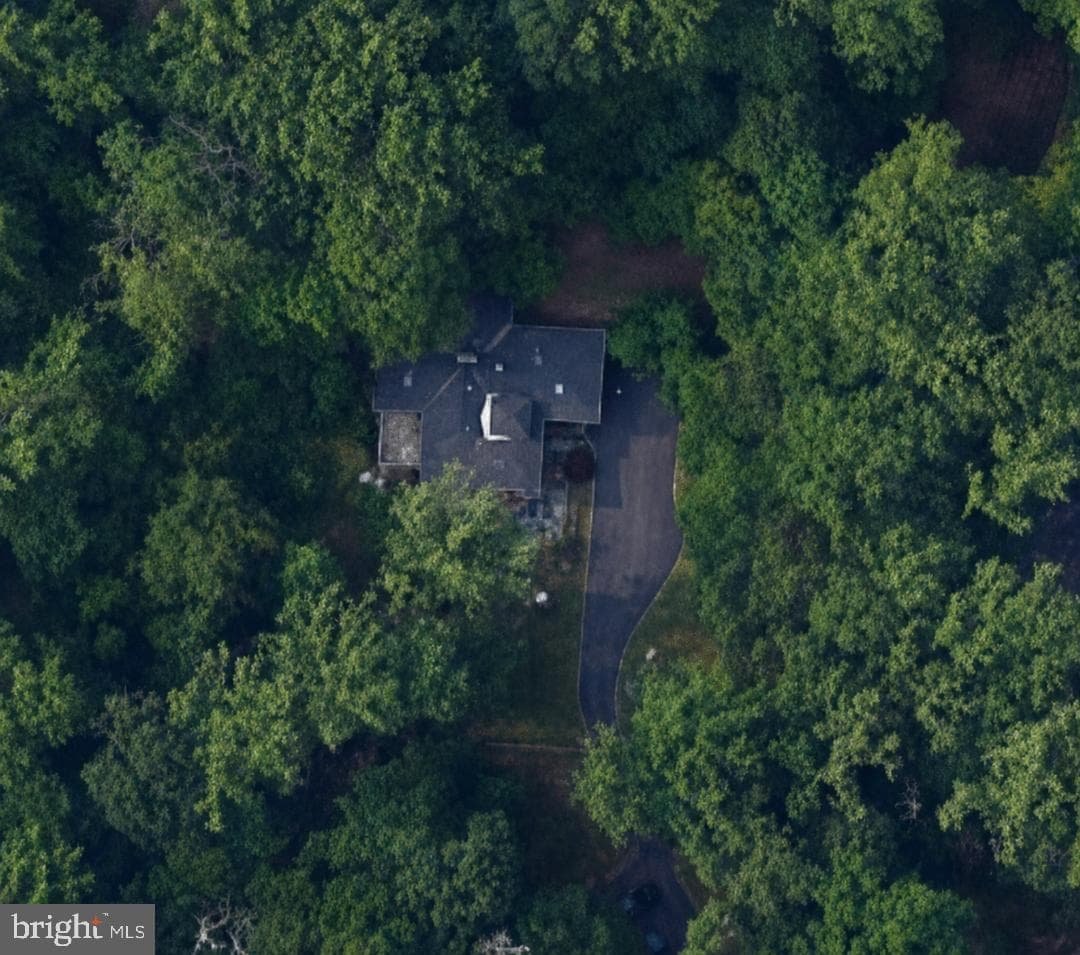 756 Camp Woods Road photo 10