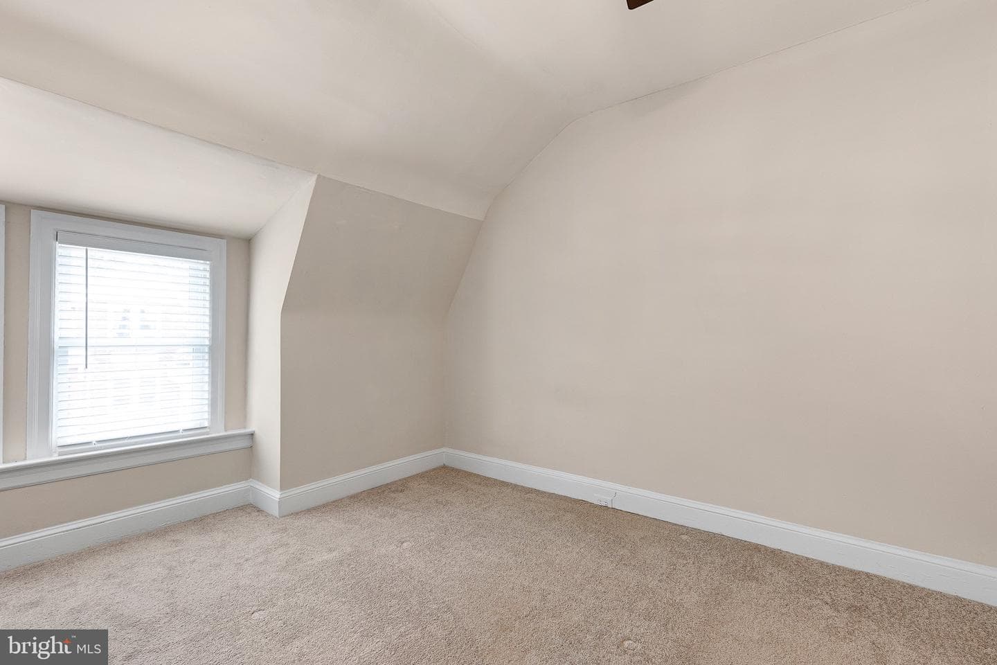 8 Cedar photo 11