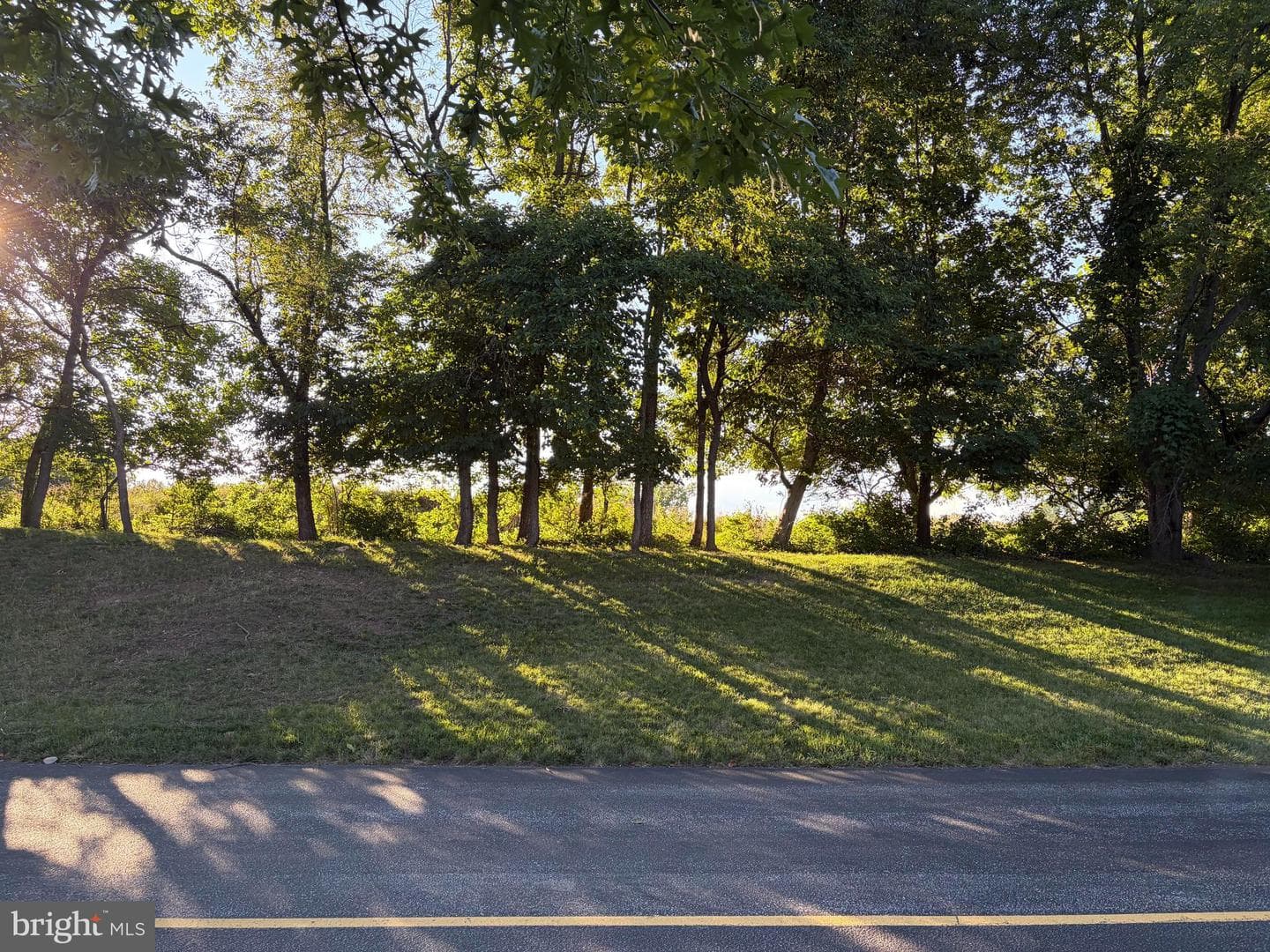 1601 Country Club Drive photo 5