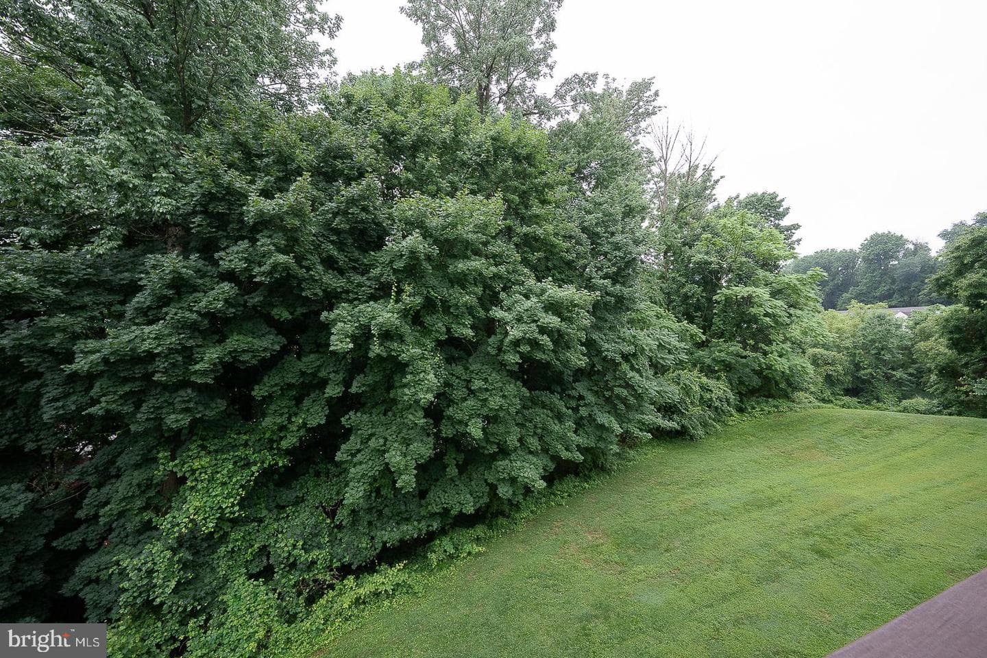 421 Derry Drive #421 photo 20