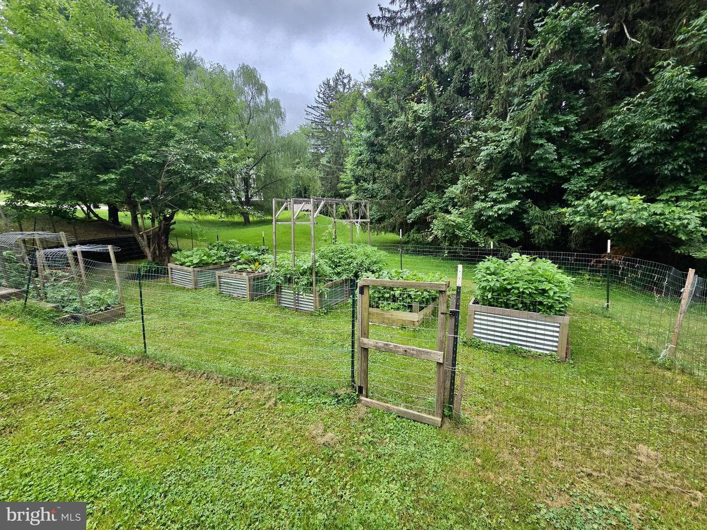 261 Lenni Road photo 46