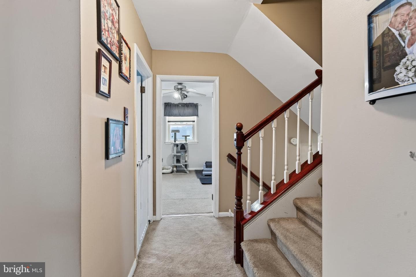357 Swanage Drive photo 41