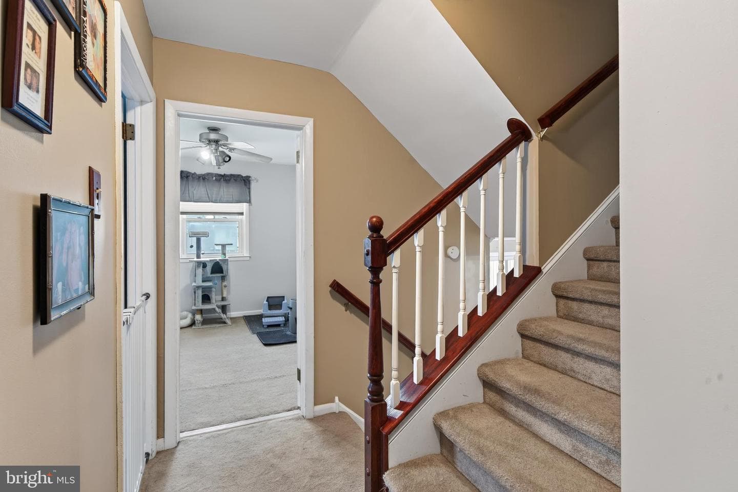 357 Swanage Drive photo 42