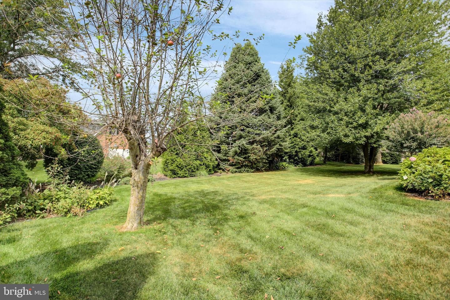 3325 Muirfield Drive photo 62