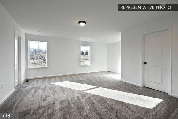 Franklin photo 25