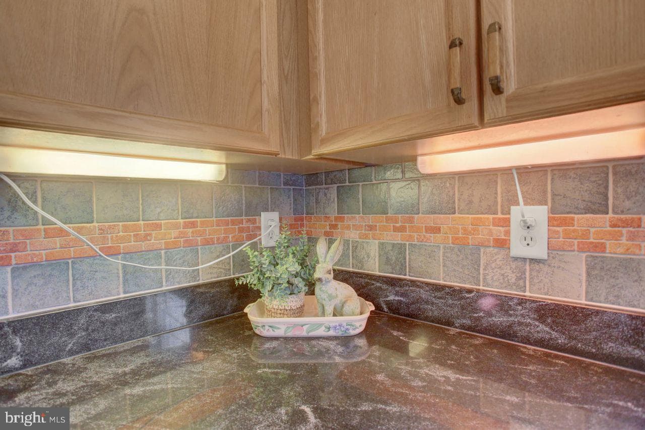 108 Bridle Hill Court photo 18