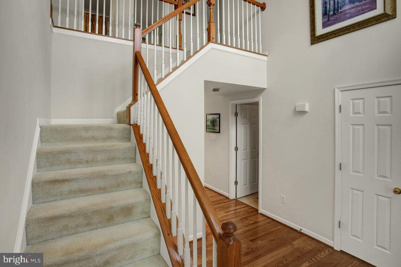 108 Bridle Hill Court photo 8