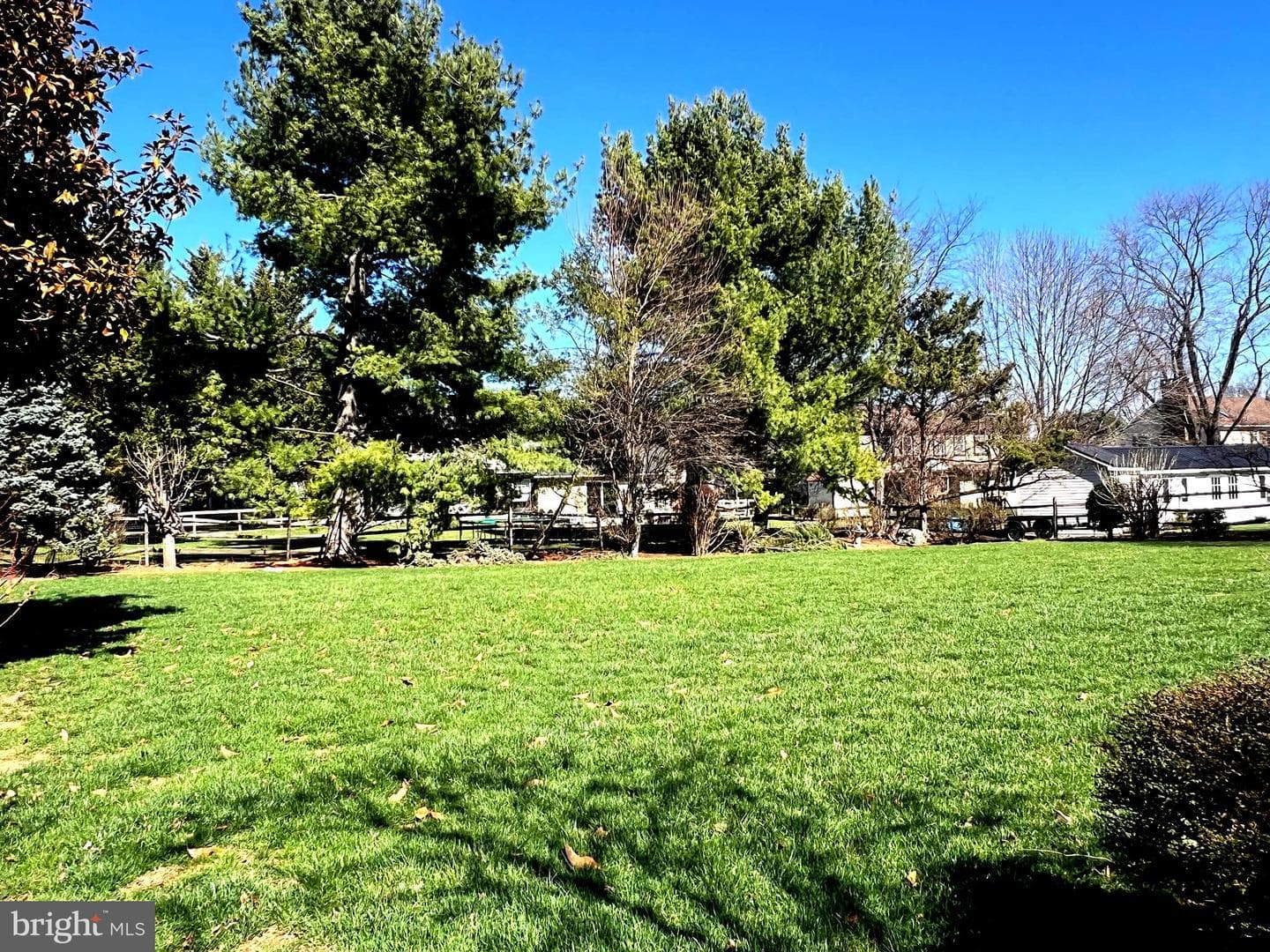 831 Rosewood Court photo 5