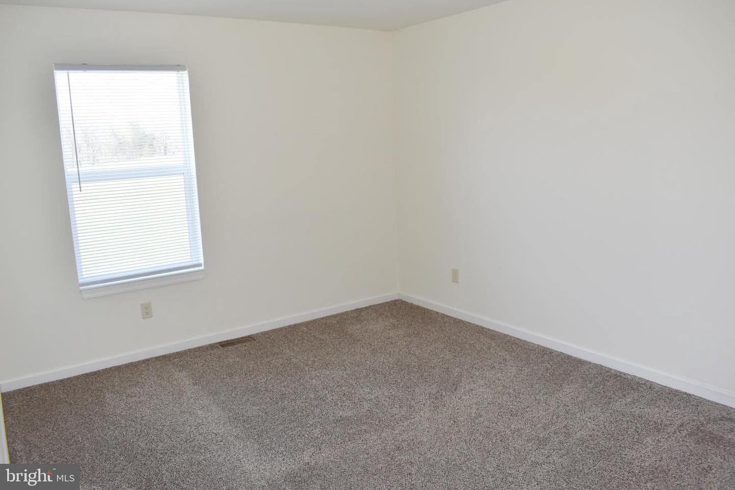 161 Delano Drive photo 19