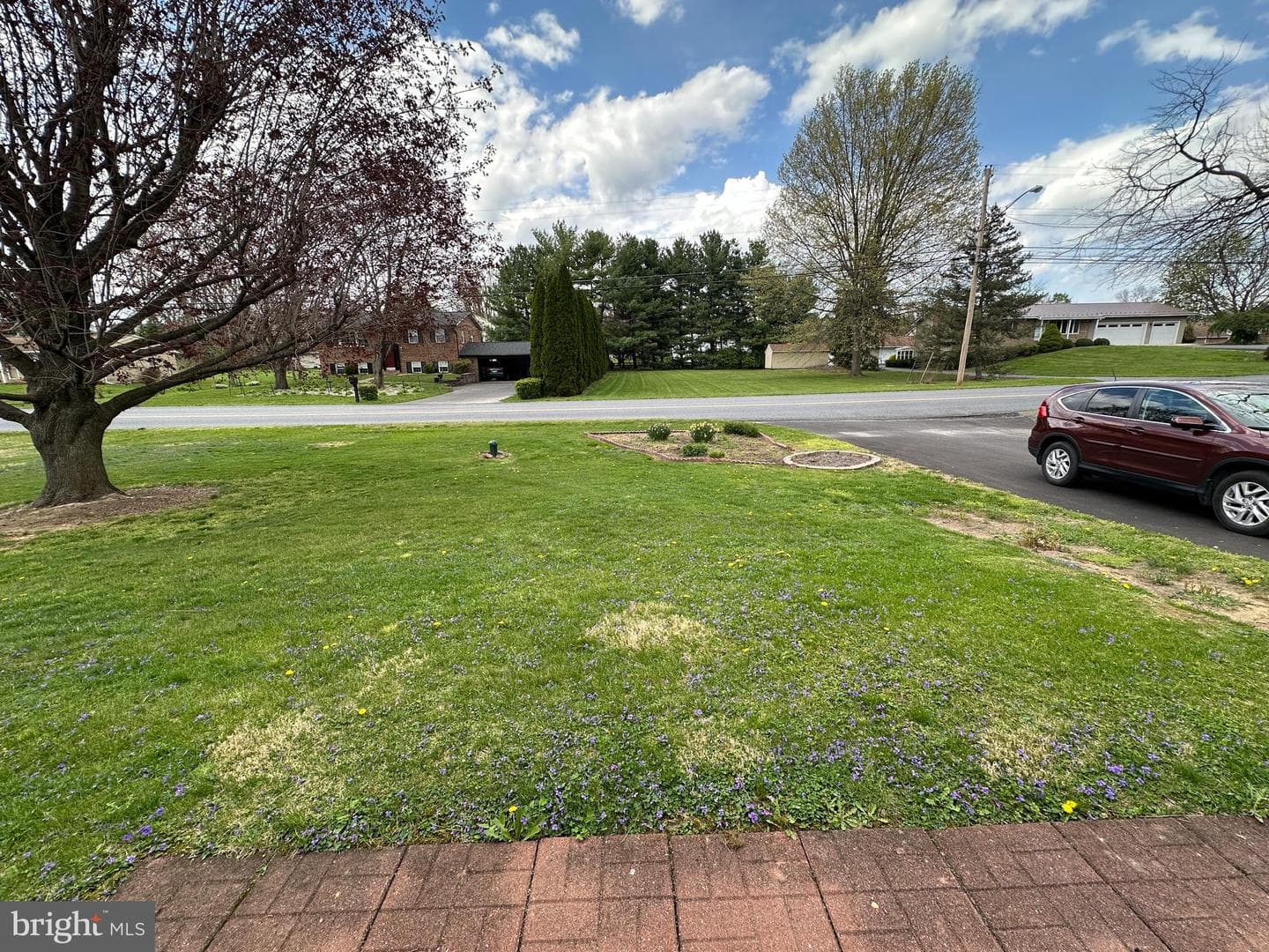 1028 Woodland Parkway photo 24