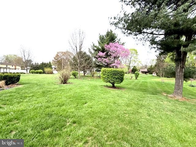 53 Edgelea Drive photo 16