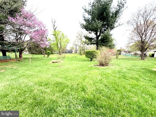 53 Edgelea Drive photo 18