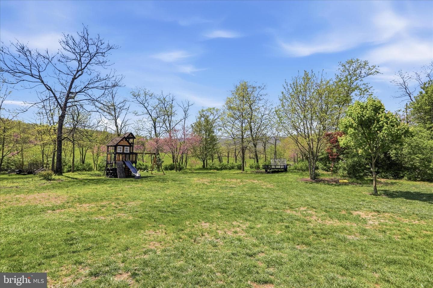 10979 Deerwood Drive #30 photo 45