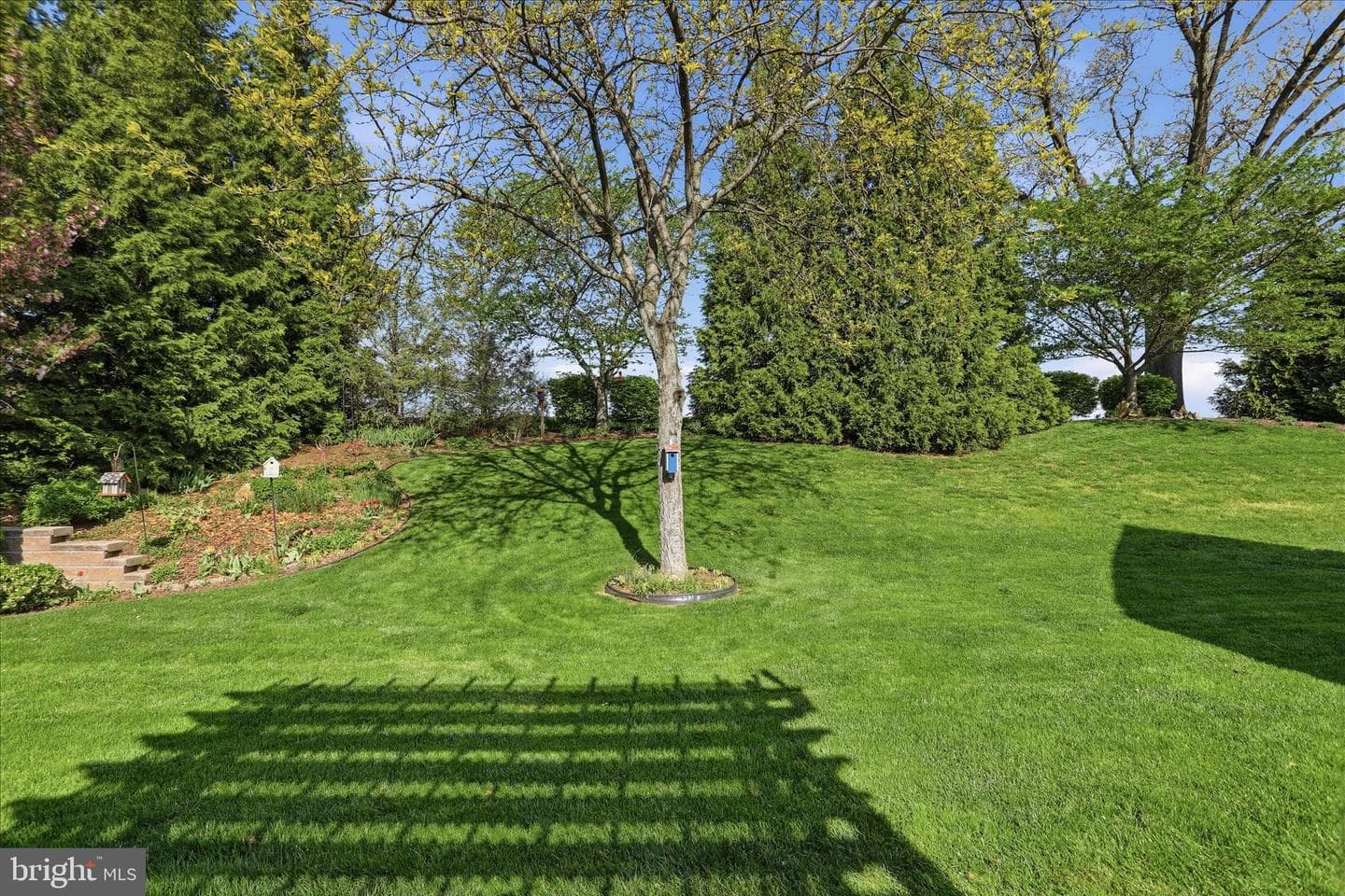 6518 Bent Oak Drive photo 17