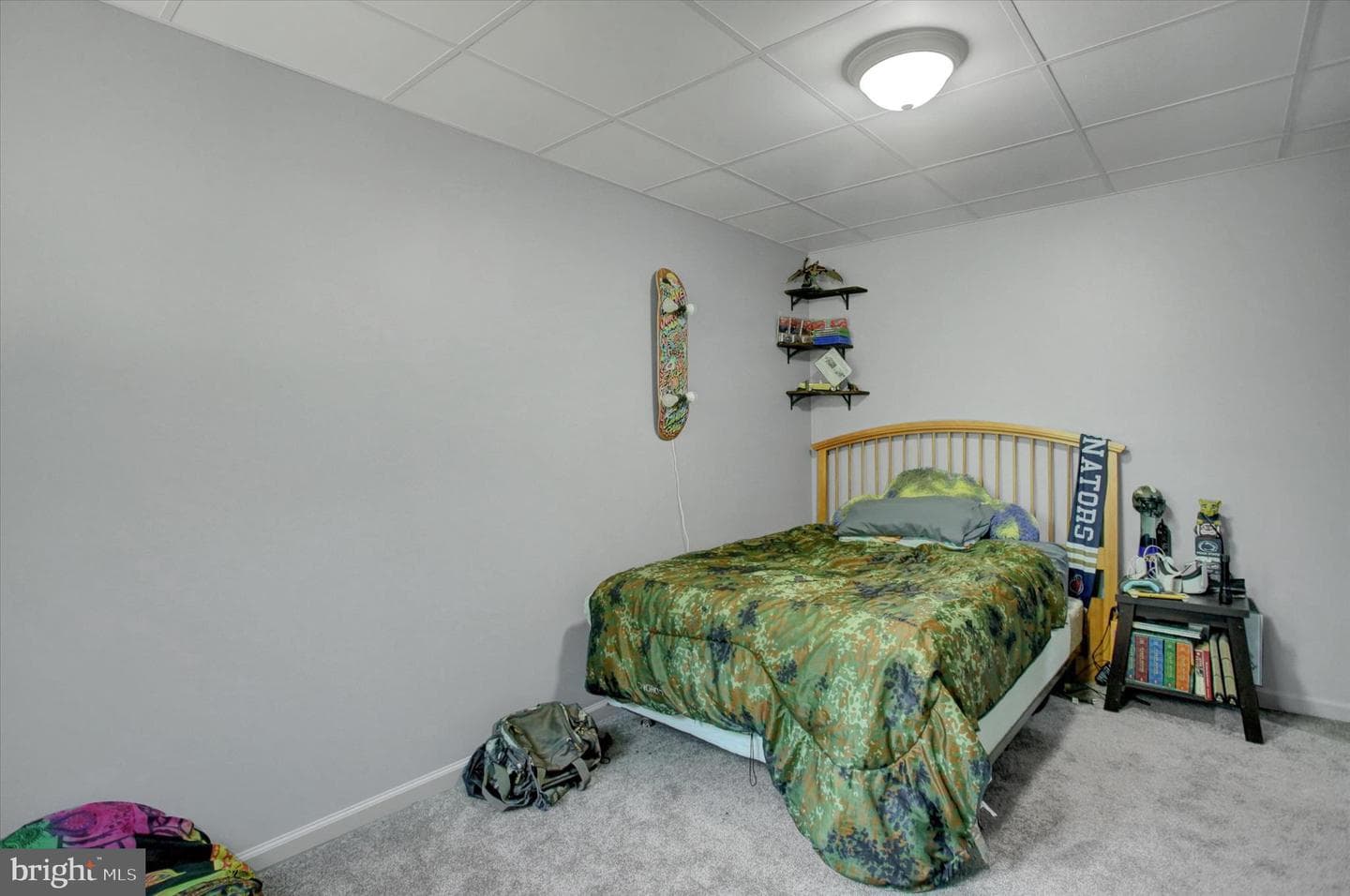 870 Remington Drive photo 62