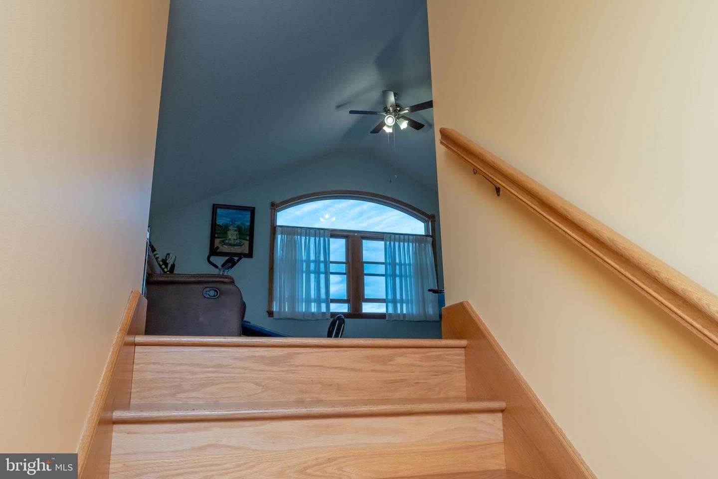 536 Remington Drive photo 49