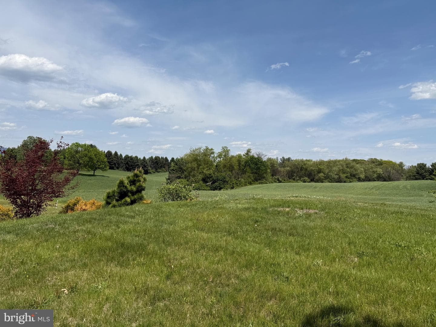1423 Brechbill Road photo 4